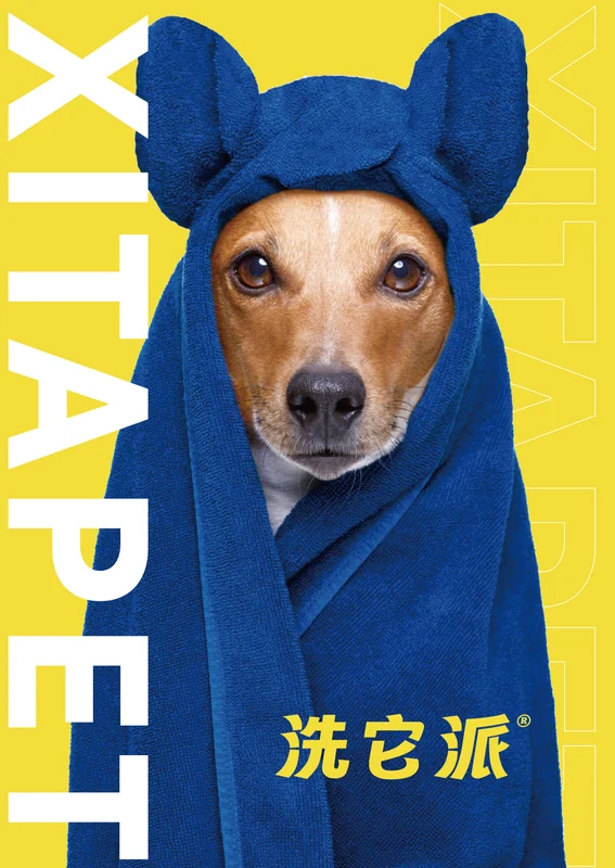 黄底品牌画面中,一只狗裹着印有洗它派字样的蓝色毛巾